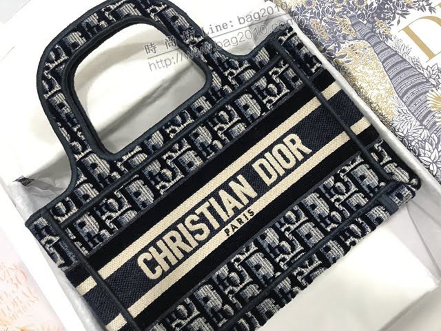 Dior女包 迪奧Book Tote迷你天鵝絨托特包手袋 Dior刺繡購物袋  dfk1509